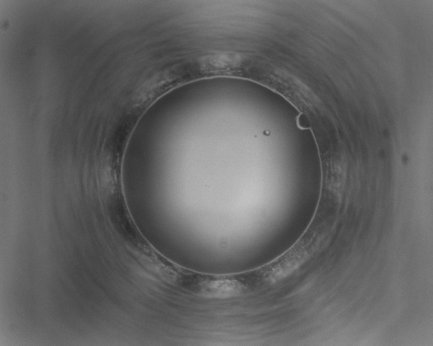 X0000051250324200506171142