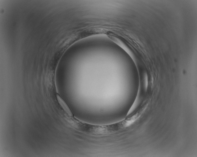 X0000051250325200506171142