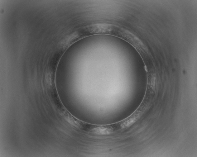 X0000051250326200506171142