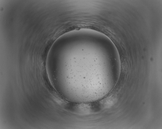 X0000051250327200506171142