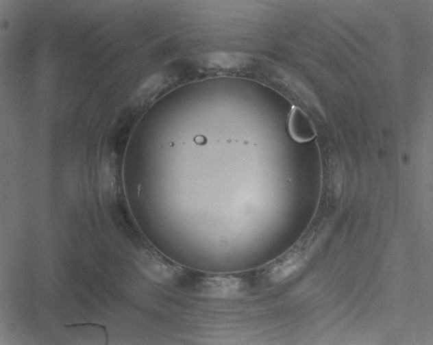 X0000051250328200506171142