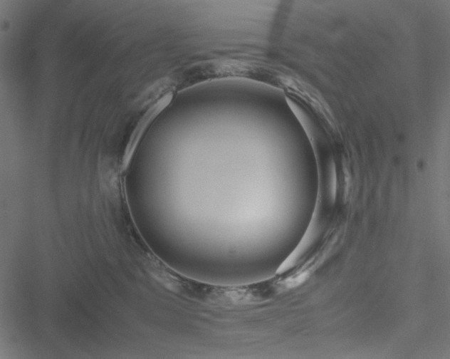 X0000051250329200506171142