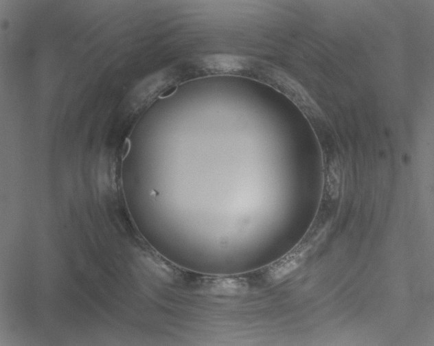 X0000051250330200506171142