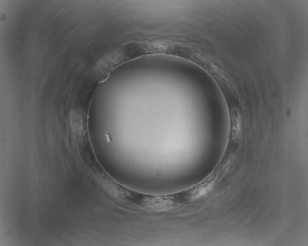 X0000051250331200506171142