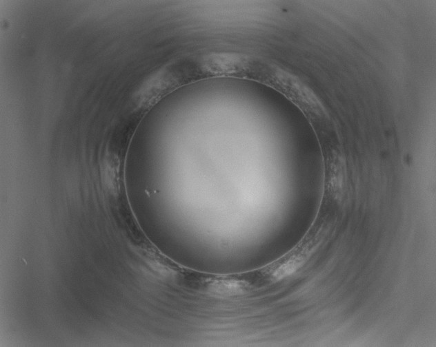 X0000051250332200506171142