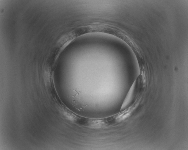 X0000051250333200506171142