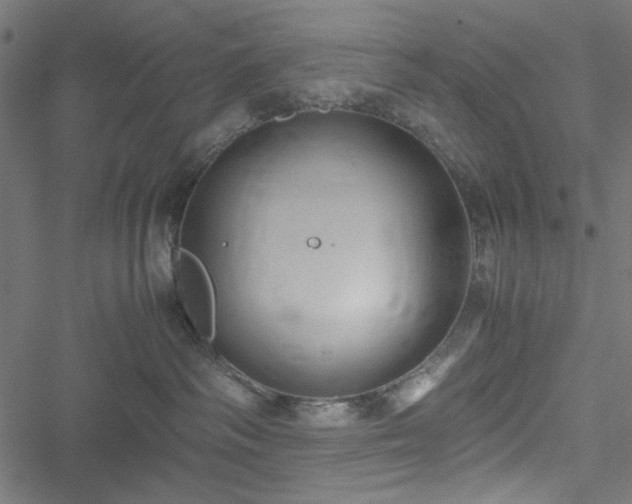 X0000051250334200506171142