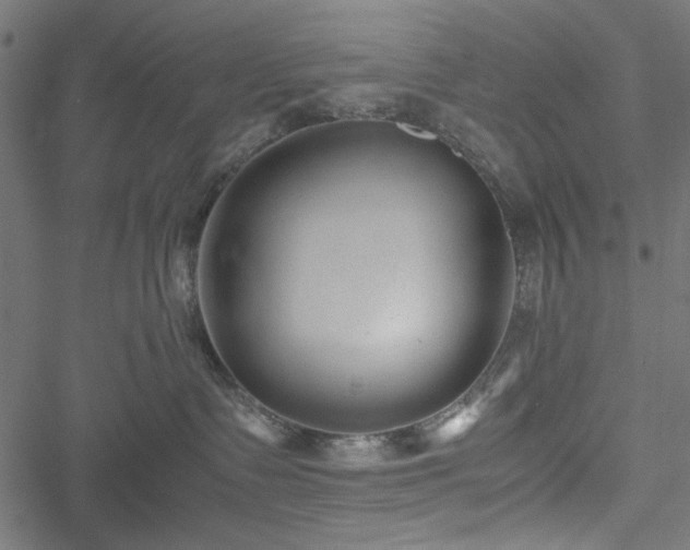 X0000051250335200506171142