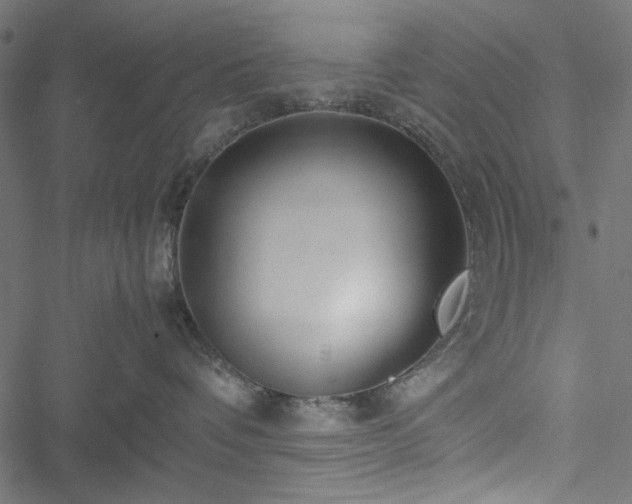 X0000051250336200506171142