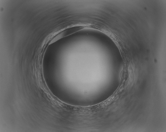 X0000051250337200506171141