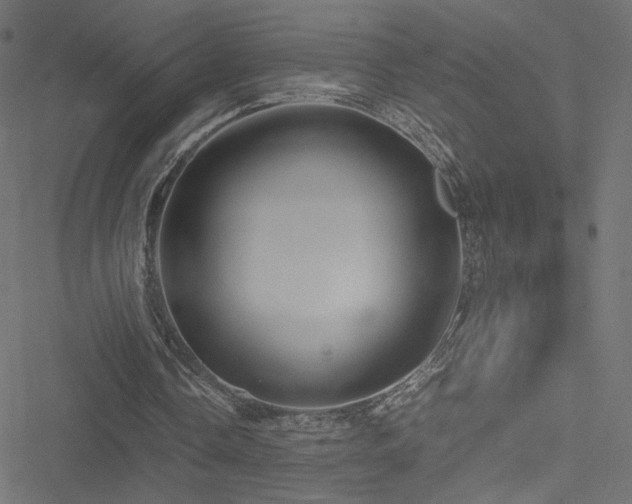 X0000051250338200506171141