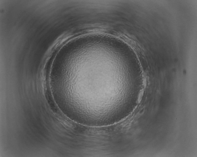 X0000051250339200506171141