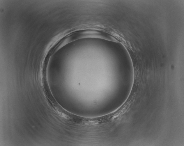 X0000051250340200506171141