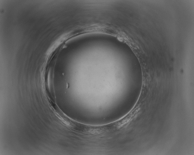 X0000051250341200506171141