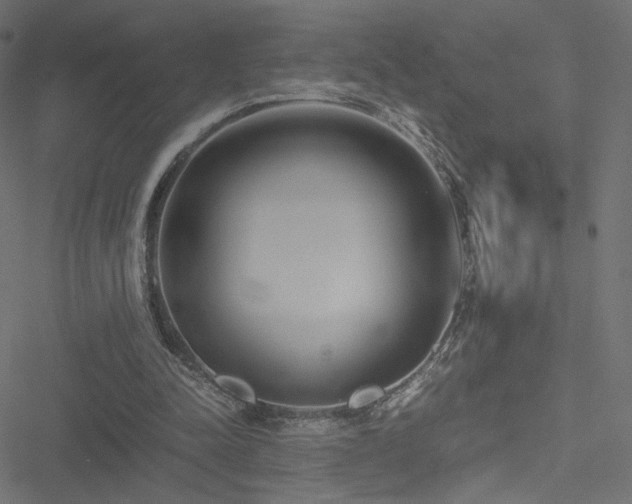 X0000051250342200506171141