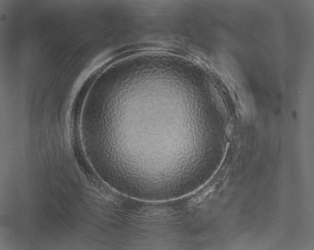 X0000051250343200506171141