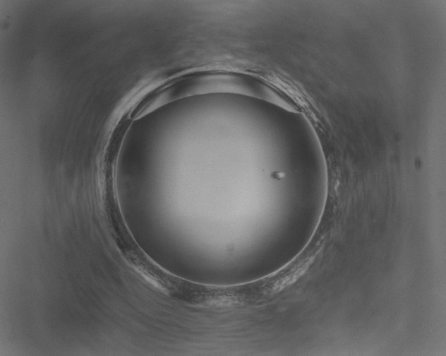 X0000051250344200506171141