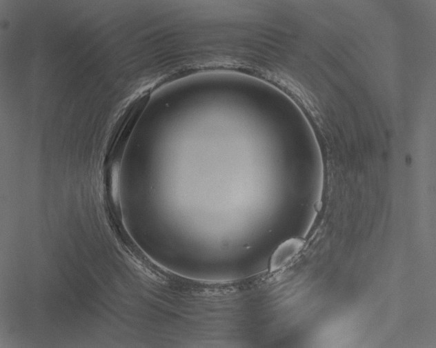 X0000051250345200506171141