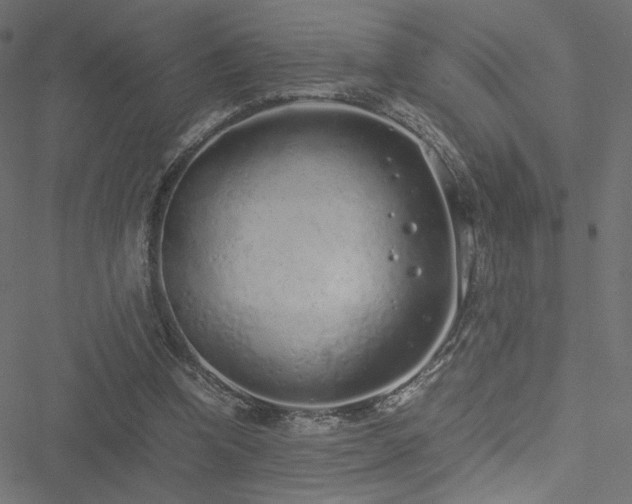 X0000051250346200506171141