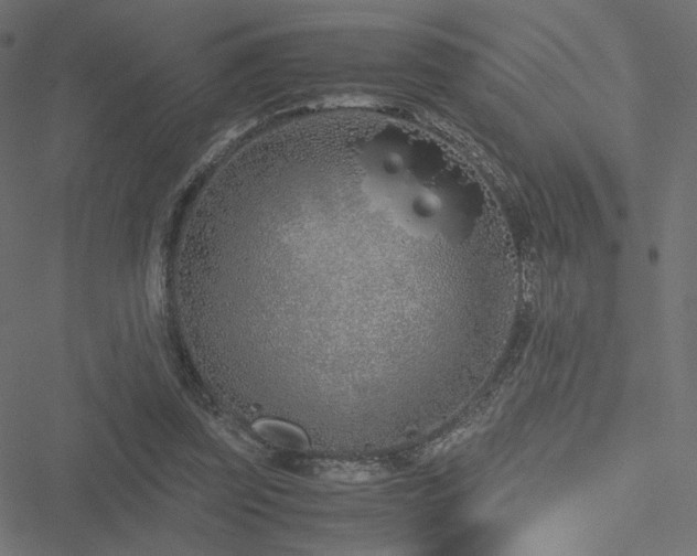 X0000051250347200506171141