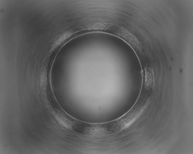 X0000051250348200506171141