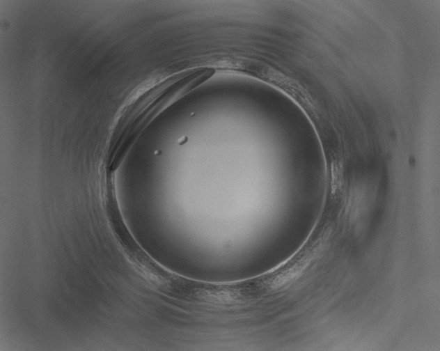 X0000051250349200506171141