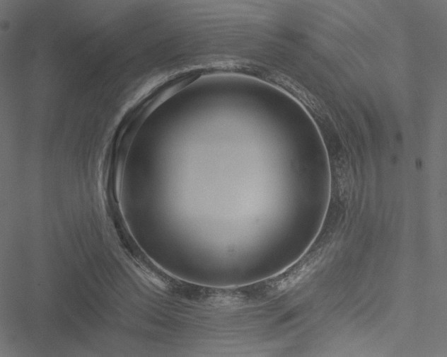 X0000051250350200506171141