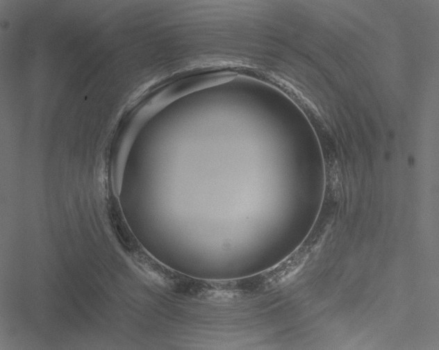 X0000051250352200506171141