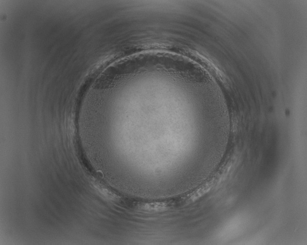 X0000051250353200506171141