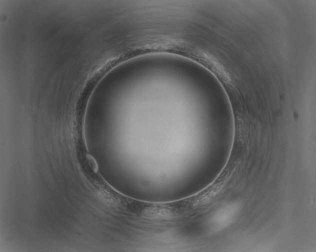 X0000051250354200506171141