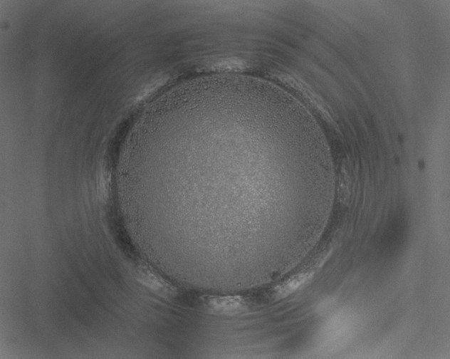 X0000051250355200506171141