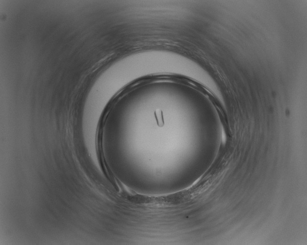 X0000051250356200506171141