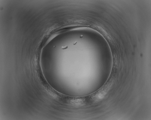 X0000051250357200506171141