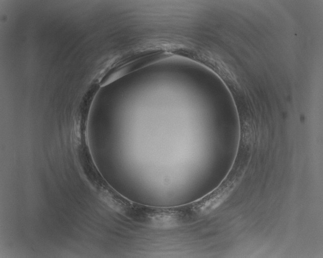 X0000051250358200506171141