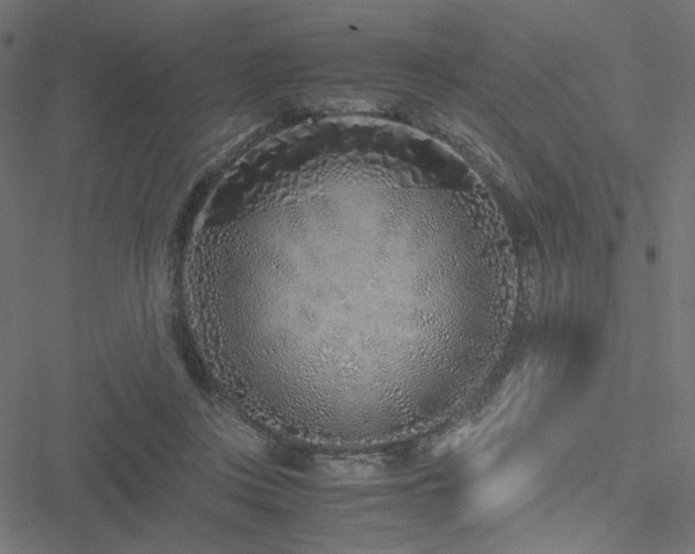 X0000051250359200506171141