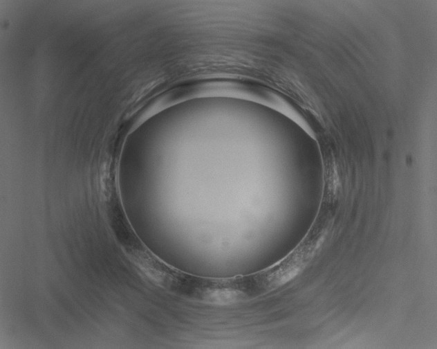 X0000051250360200506171141