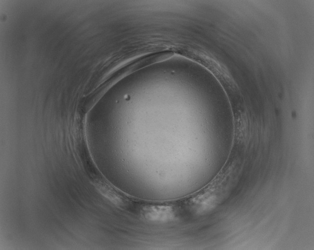 X0000051250361200506171141