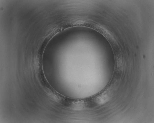 X0000051250362200506171141