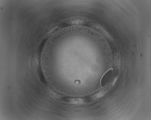 X0000051250363200506171141