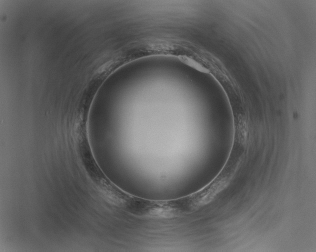 X0000051250364200506171141