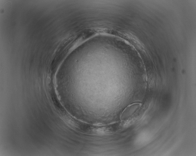 X0000051250365200506171141