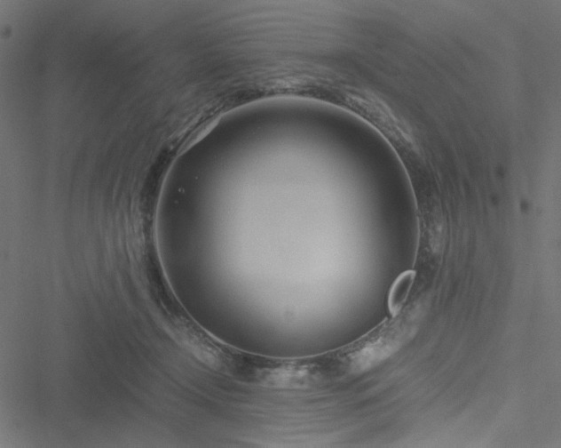 X0000051250366200506171141