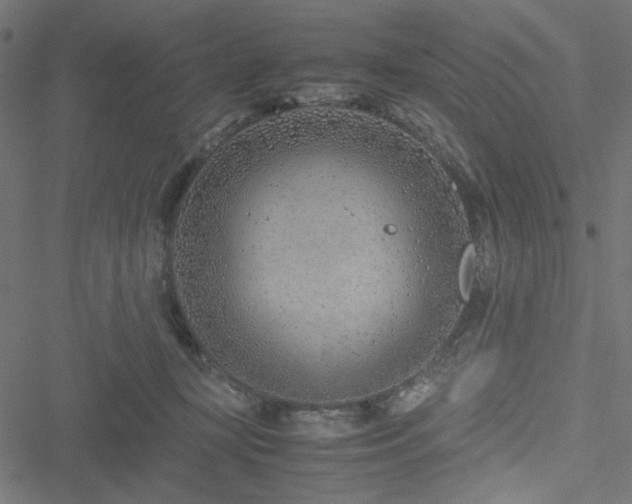 X0000051250367200506171142