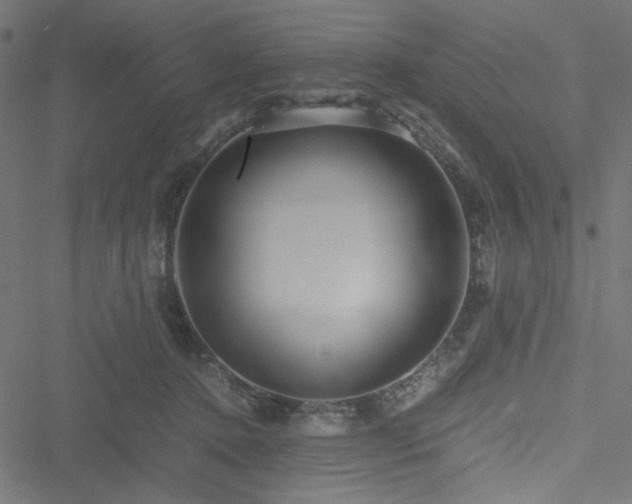 X0000051250368200506171142