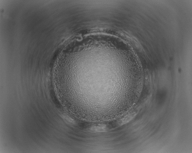 X0000051250369200506171142