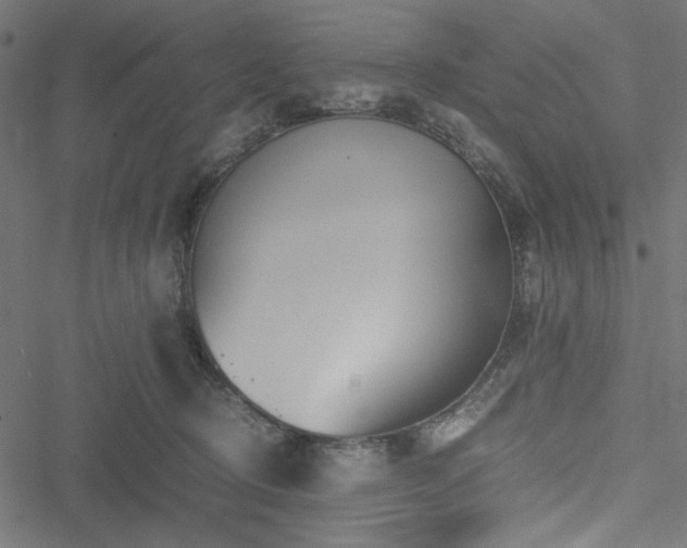 X0000051250370200506171142