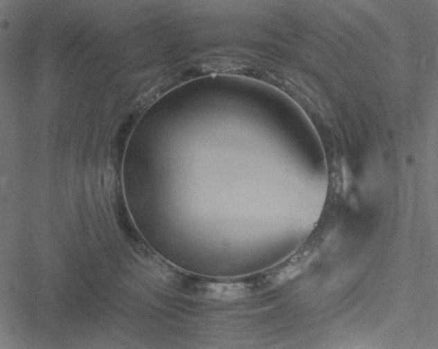 X0000051250371200506171142