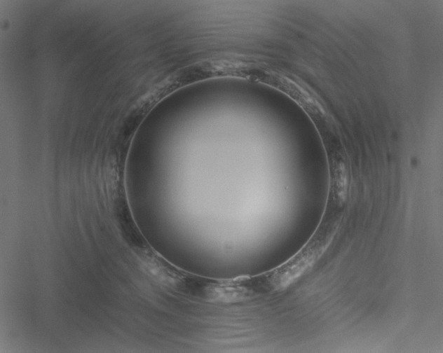 X0000051250372200506171142