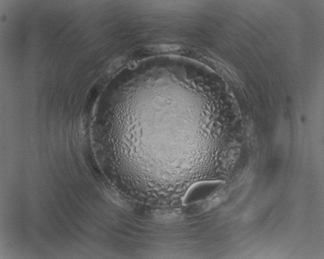 X0000051250373200506171142