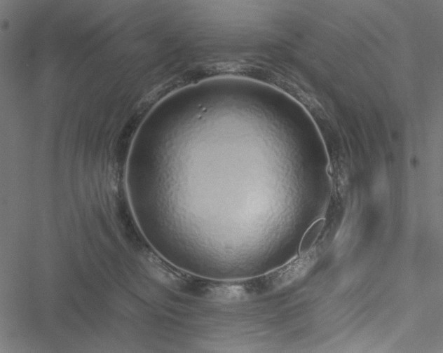 X0000051250374200506171142